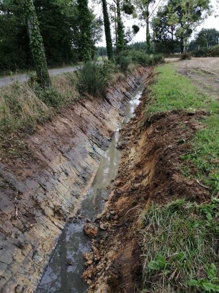 Curage de fossés Corcoué-sur-Logne